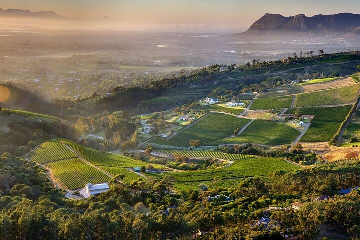  Wine Tasting in Constantia Region Cape Town  - Photo 1 of 11